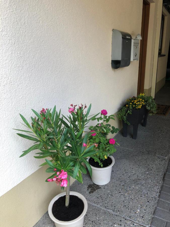 Ferienwohnung Am Gaessle Эттенхайм Экстерьер фото